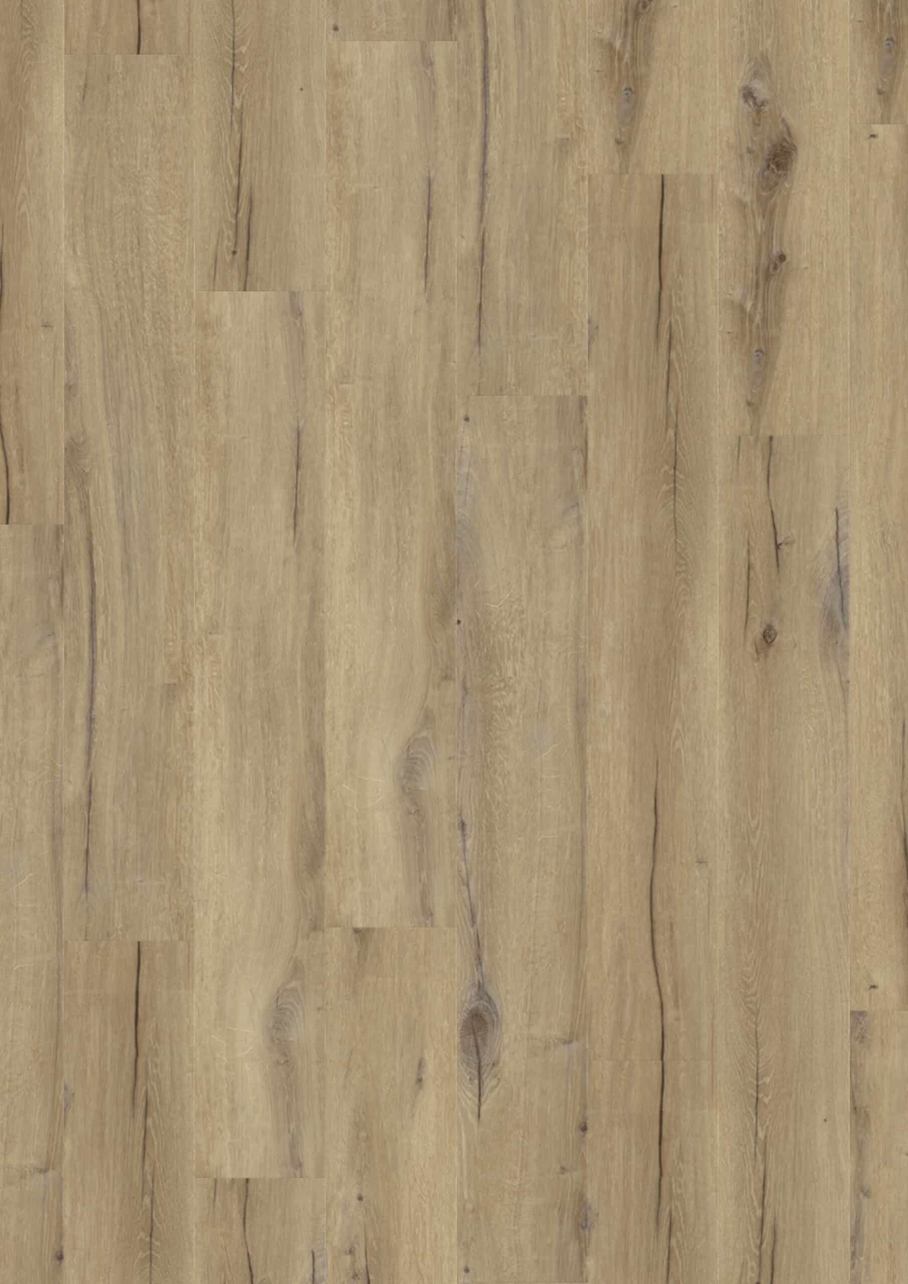 DAINTREE BROWN